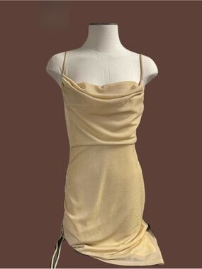 Delicate Gold Cowl Neck Mini Dress